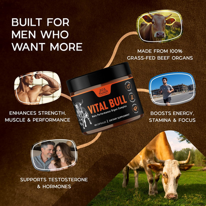 Vital Bull – They Took Your Strength. It’s Time to Take It Back.